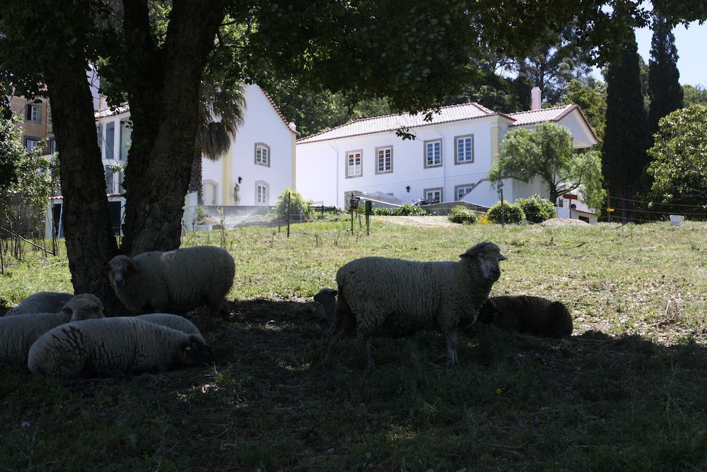 Eugaria Country House By Lost Lisbon ซินตรา ภายนอก รูปภาพ
