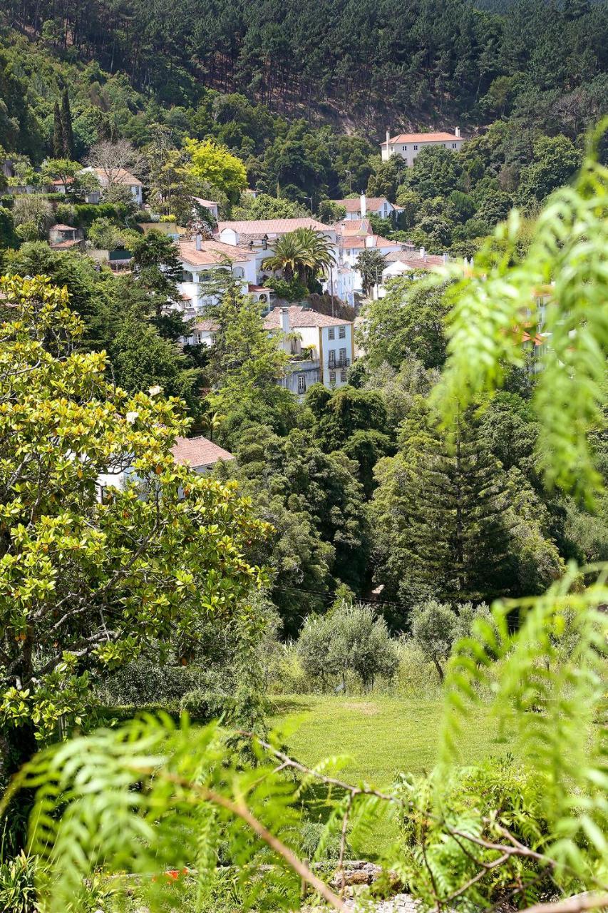 Eugaria Country House By Lost Lisbon ซินตรา ภายนอก รูปภาพ